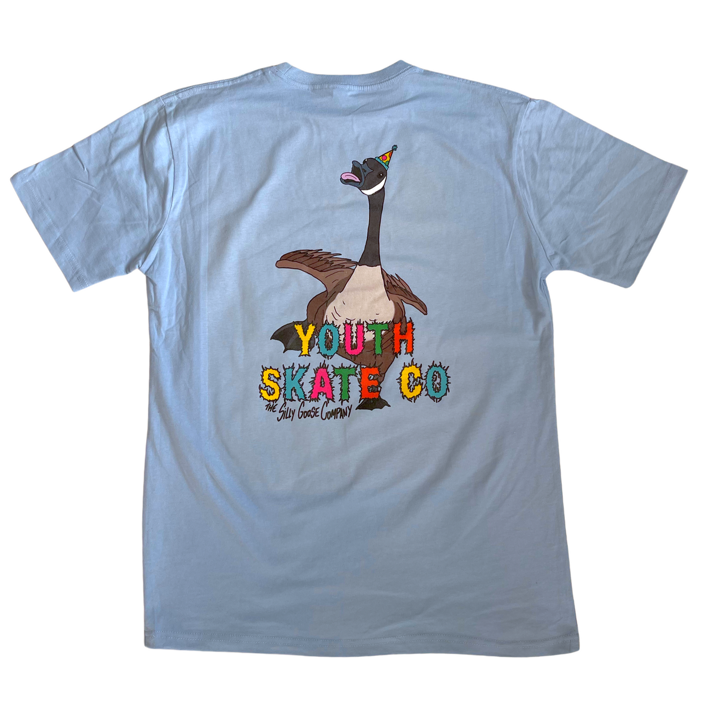 Silly Goose Tee baby blue